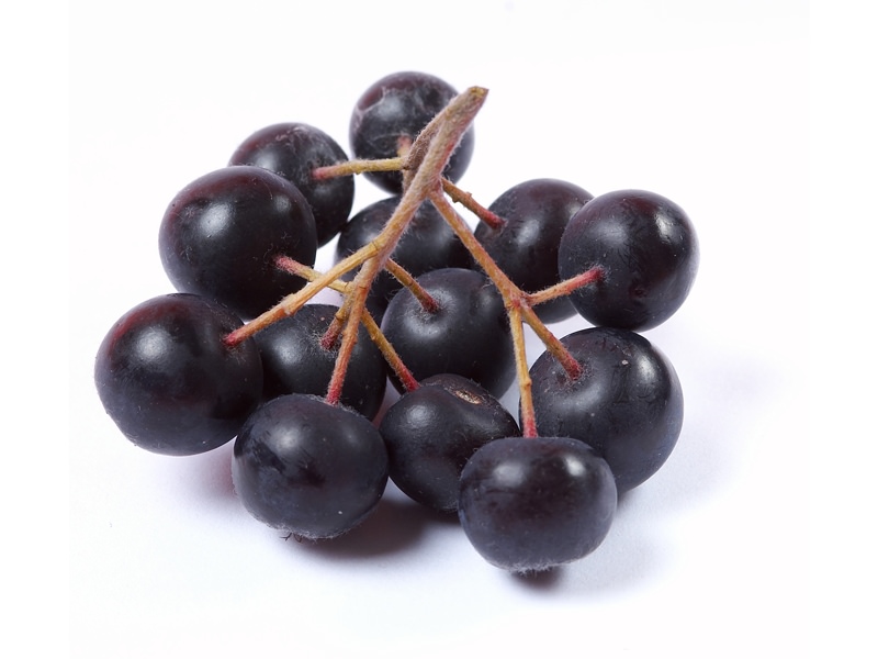 Chokeberries (black chokeberries)