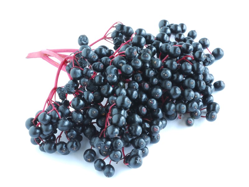 Elderberries (black elderberries)